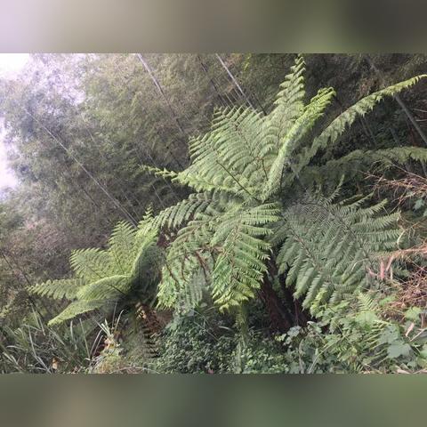 新罗区经济、社会民生及城市管理的最新动态报道汇聚