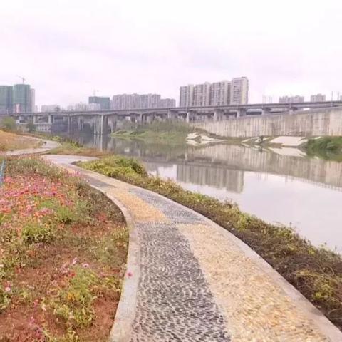 邵水西路新闻直播,实时更新,洞察发展