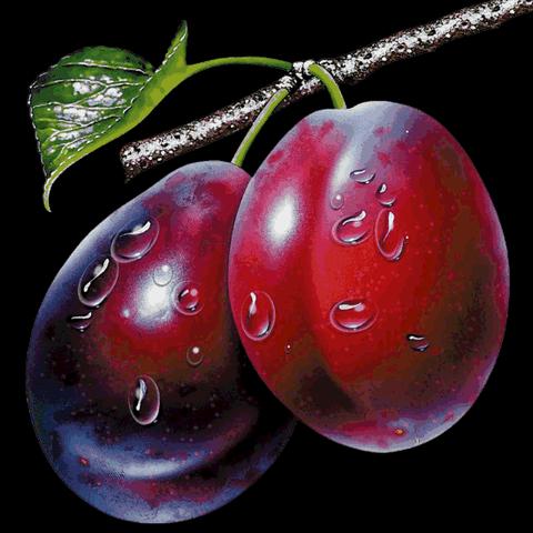 今日处暑新闻头条,今日处暑的图片大全