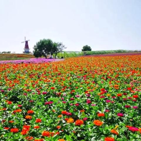 全球民宿招聘网站大全最新,高档民宿招聘有哪些要求