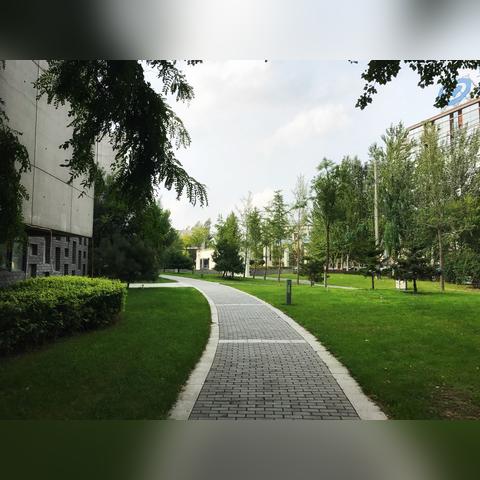 辽河公园最新今日头条,去辽河公园坐几路车