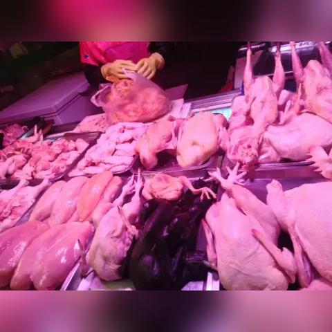 网红名人大榜名单大全最新,网红 名单