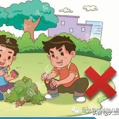 五一放假今日最新通知,五一最新放假安排