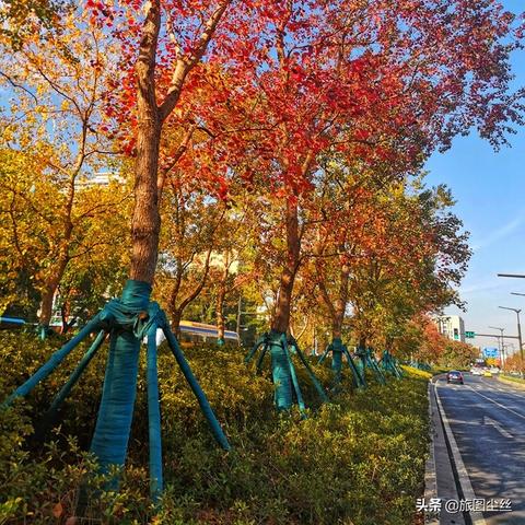 世界最难爬的高楼排名,世界上最难爬的几座山