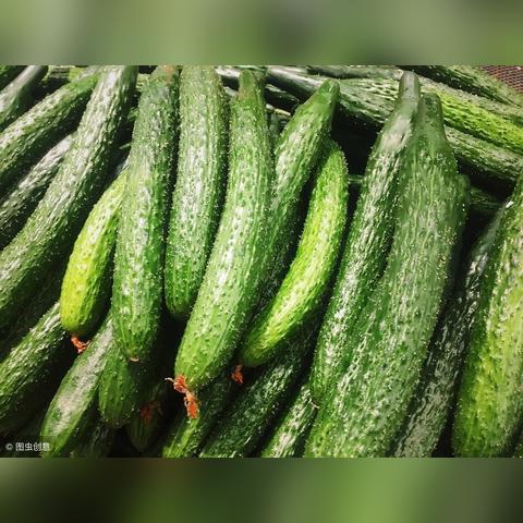 河南今日最新菜价表格图片,河南菜价查询