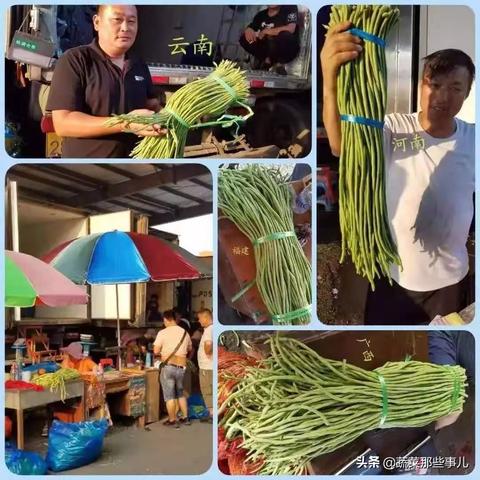 河南今日最新菜价表格图片,河南菜价查询