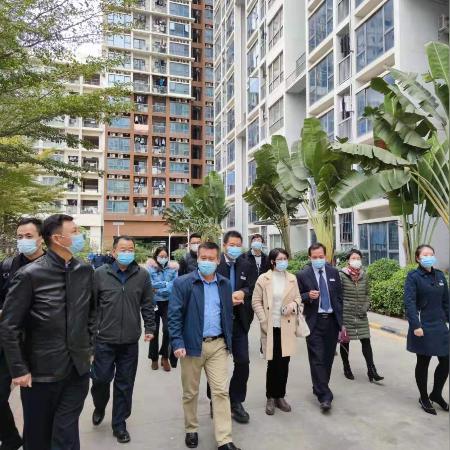 深圳人才房政策,优惠购房吸引优秀人才,助力经济社会发展