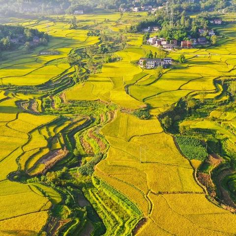 忠县万达商铺出租转让最新价格动态,租金调整及影响因素解析