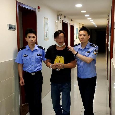 金汇镇金星村动迁计划启动,细节公布,积极变化即将来临