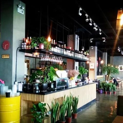 菏泽黑马榴莲最新价格动态及影响因素解析