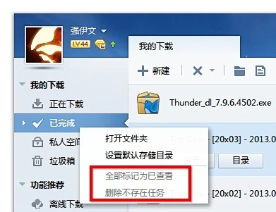 迅雷最好用版本,适用性策略设计 精英版_v3.820